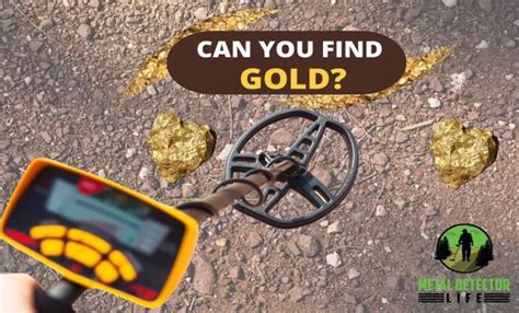 why didnt box xutters get detected by metal detecters|can a metal detector detect gold.